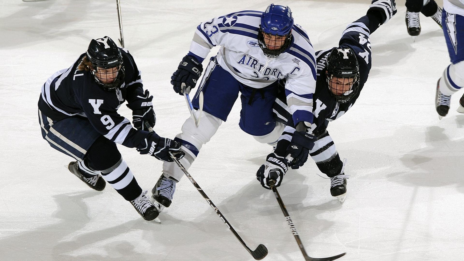 世界武术运动会中国传统武术再现风采,世界武术节目